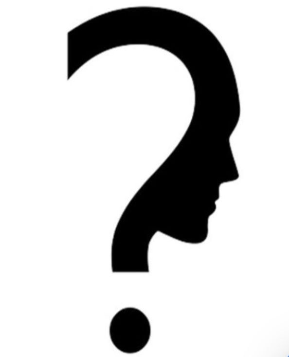 خانم مهندس مریم مردانه